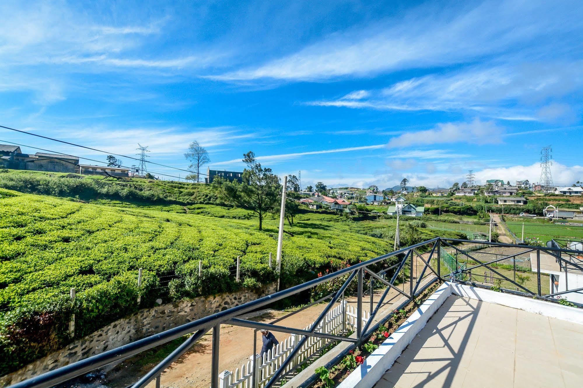 Villa Tea Fields Nuwara Eliya Esterno foto