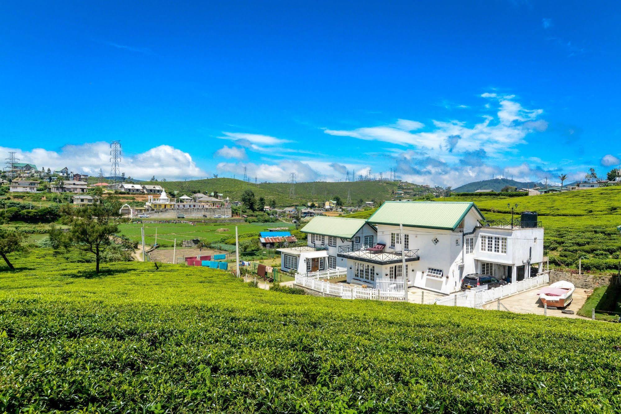 Villa Tea Fields Nuwara Eliya Esterno foto